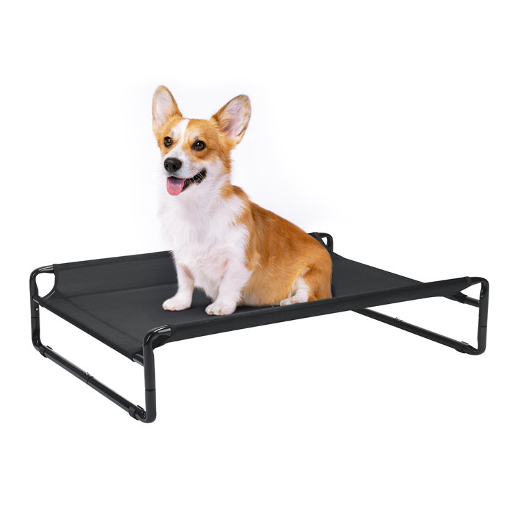 Original dog shop furniture